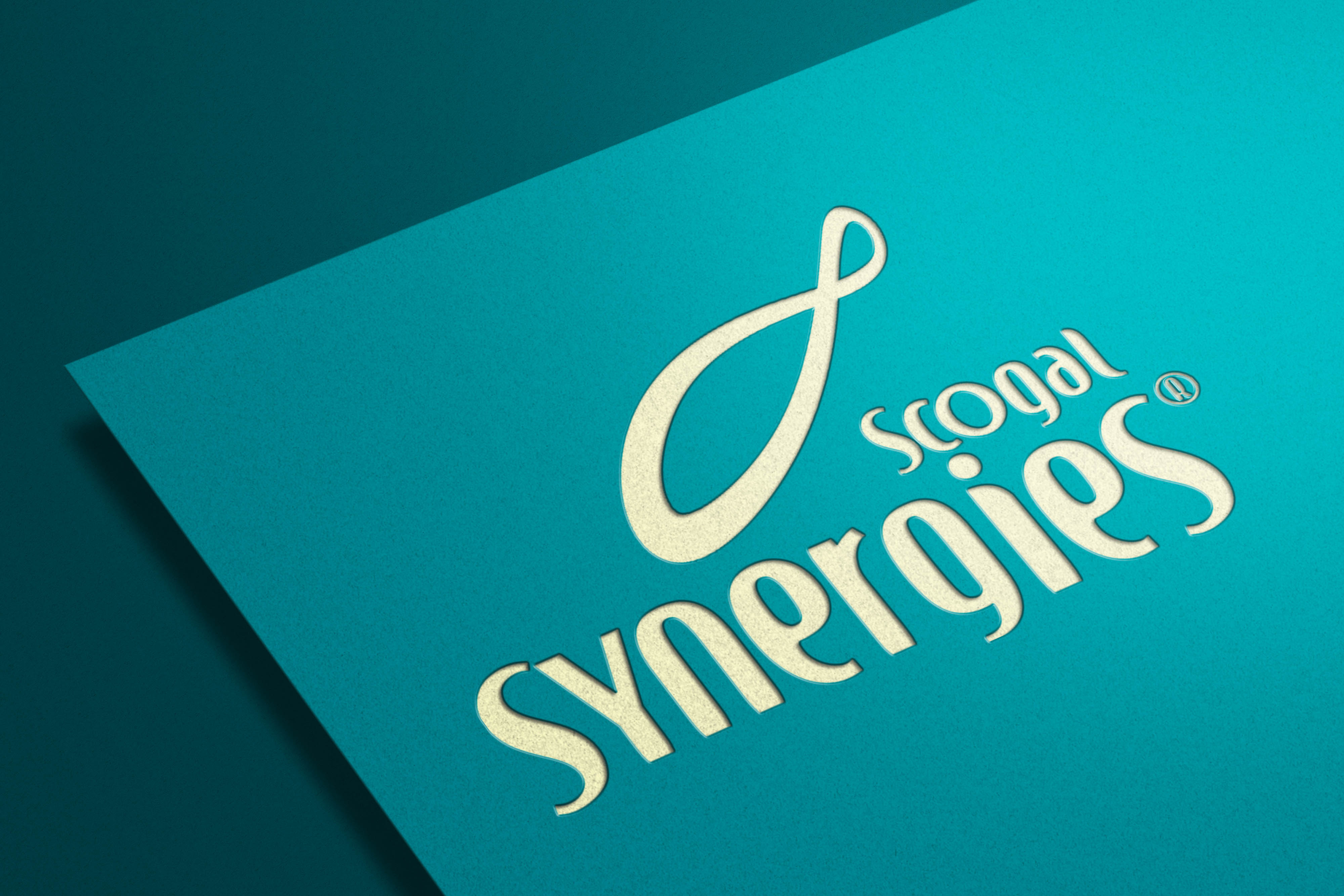 logotype scogal synergie book